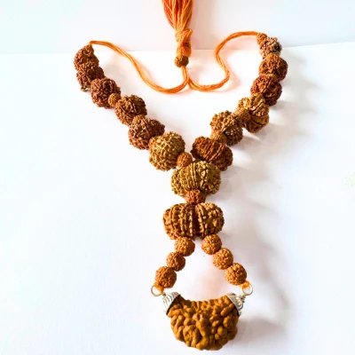 1 - 13 Mukhi Shiv Shakti Rudraksha Mala (Nepal Origin -20.00 mm)